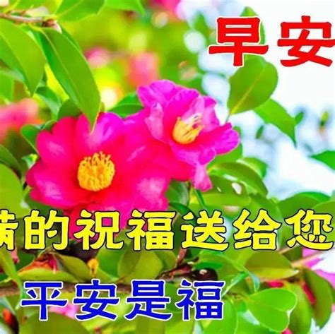 7月20日最新早上好祝福动态表情图片大全，早上好问候语句子！ 都是敏 卯劲 阳光