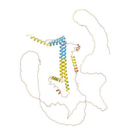 RCSB PDB AF AFO75298F1 Computed Structure Model Of Reticulon 2