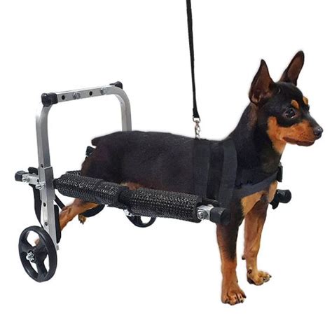 Cadeira De Rodas Para Cachorro De Porte Mini Pp Regul Vel Pet Best