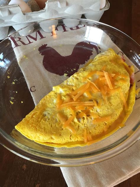 Bacon And Cheese Microwave Omelet Lynns Kitchen Adventures