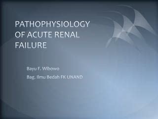 The Pathophysiology Of Acute Renal Failure Ppt