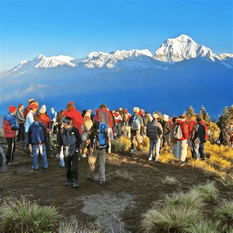 Ghorepani Poon Hill Trek | Annapurna Shot Treks in Nepal