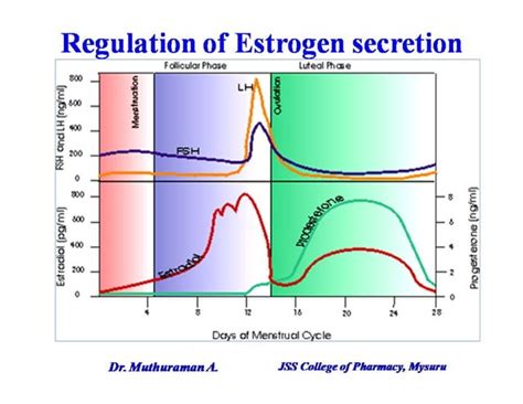 Estrogen And Progestins Oral Contraceptives Ppt