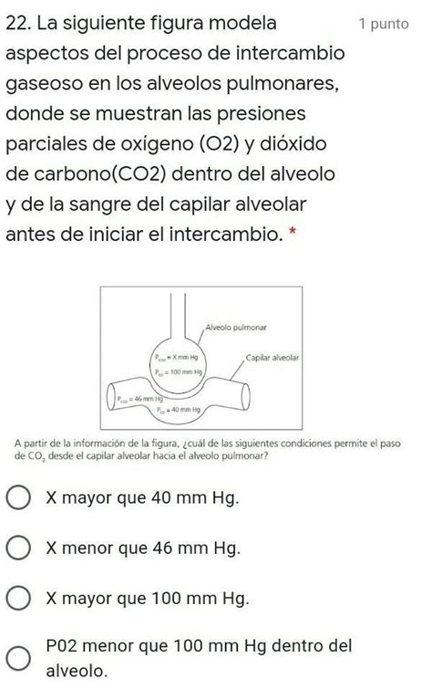 Nesecito Ayuda Porfa Brainly Lat