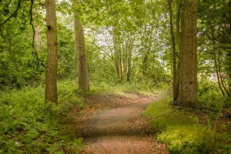 Woodland Walks Arrow Bank Country Holiday Park