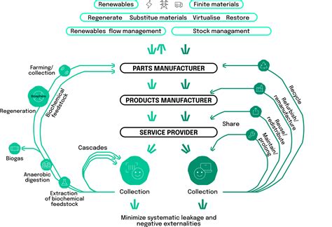 Basics Of Circular Economy Neosfer