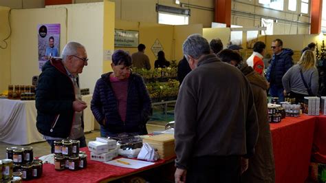 Successo Della Mostra Mercato Del Tartufo Di Valtopina