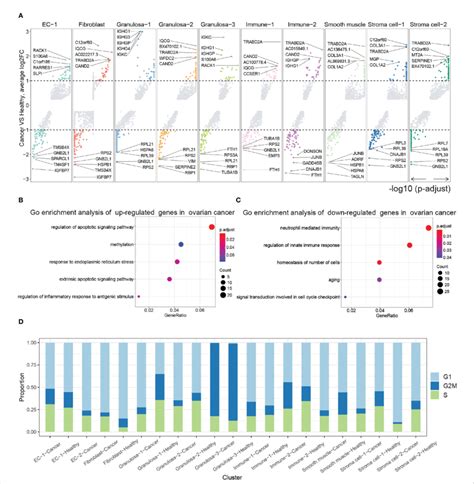 A Differential Analysis Between Ovarian Cancer Samples And Normal