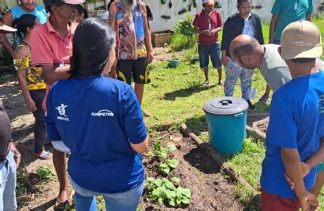 Bahia Pacientes Do Caps Participam De Oficina De Agroecologia Avsi