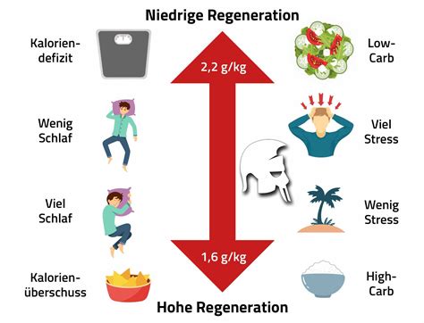 Wie verändert sich der Proteinbedarf für den Muskelaufbau im Alter