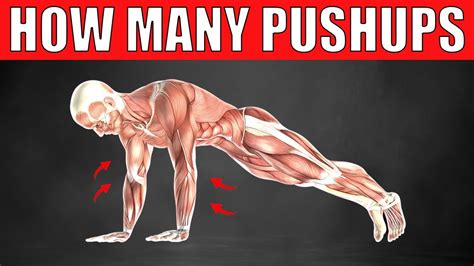 How Many Pushups Should You Do A Day To Build Muscle YouTube