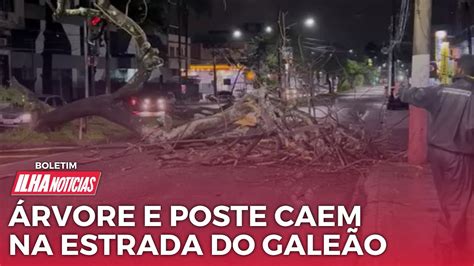 ÁRVORE E POSTE CAEM NA ESTRADA DO GALEÃO BOLETIM ILHA NOTÍCIAS 02 11