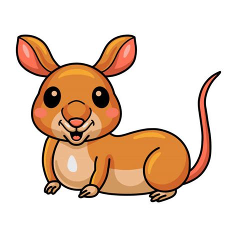 130 Cartoon Of Bandicoot Stock Illustrations Royalty Free Vector