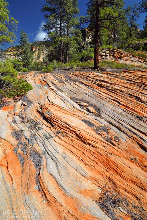 East Rim Trail Photos Page 2 Joes Guide To Zion National Park