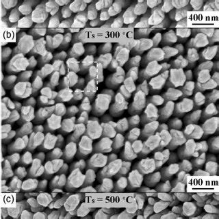 Cross Sectional SEM Micrograph Of Ta Nanopillar Arrays Grown At T S