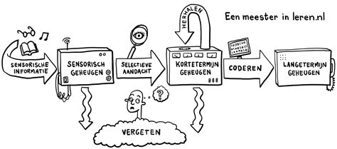 Geheugen Korte En Lange Termijn Eenmeesterinleren Nl