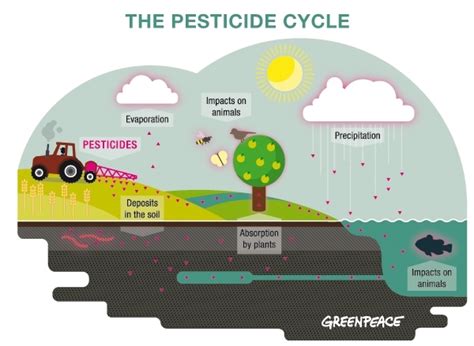 A Pestiferous Problem Greenpeace International