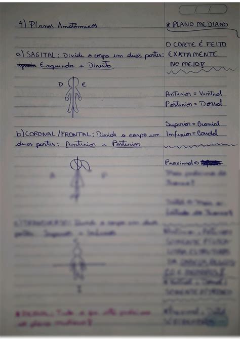 Solution Resumo Introdu O A Anatomia Studypool