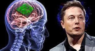 Elon Musk Confirma Que Neuralink Podr Implantar Un Chip En Un Cerebro