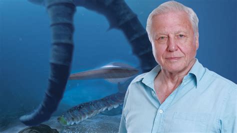 David Attenborough S First Life ABC Iview