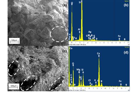 Sem And Edx Characterization Of Untreated Samples A Sandstone Sample