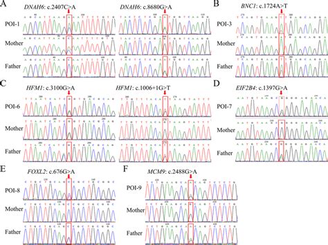 Sanger Sequencing Validated The Poi Related Variants A Sanger