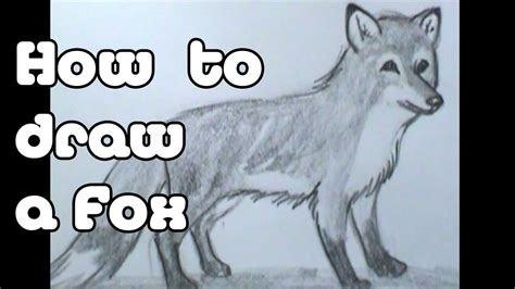 How To Draw A Fox Youtube