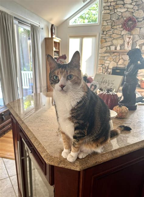 Signy Coleman - “ The morning stare!” A morning ritual... | Facebook