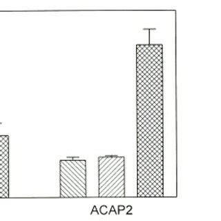 Arf Specificity Of ACAP GAP Activity Arf GAP Assays Were Performed