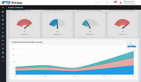 Nexus Analist Grafic Nou In Bord WebApps Cheltuieli Aferente