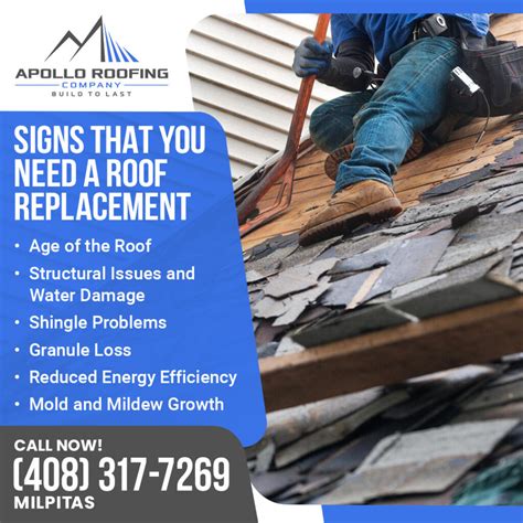 Signs That You Need A Roof Replacement Apollo Roofing Company