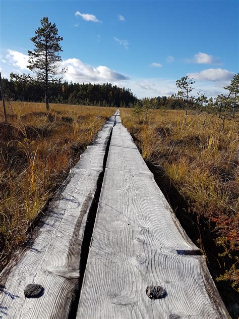 Salamajärven kansallispuisto Vaatimen kierros Perho Retkeily