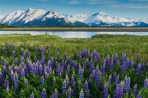 7 Best Places To Go Kayaking in Alaska