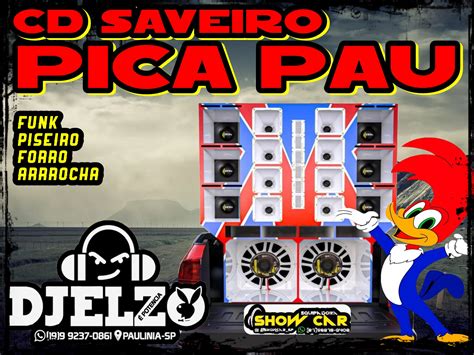 CD SAVEIRO PICA PAU 2024 BY DJ ELZO Balada G4