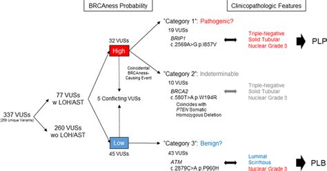 Pathogenicity of variants of uncertain significance (VUS) with BRCAness ... 
