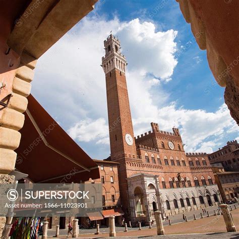 Torre Del Mangia Tower Palazzo Pubblico Town Hall Piazza Del Campo