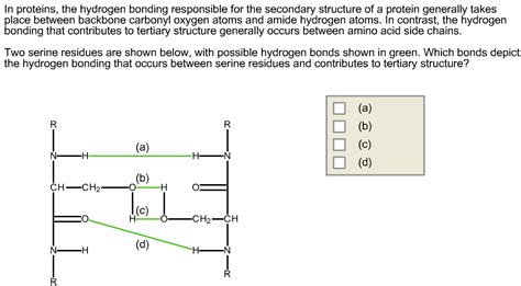 Solved In Proteins The Hydrogen Bonding Responsible For Chegg