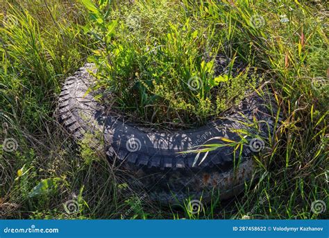 A Large Old Automobile Rubber Tire Overgrown With Grass Lies On The