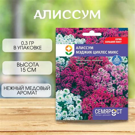 СЕМЯРОСТ Алиссум - купить по выгодным ценам в интернет-магазине OZON ...