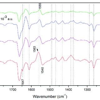 Fourier Transform Infrared Ftir Difference Spectra On Rhoodobacter