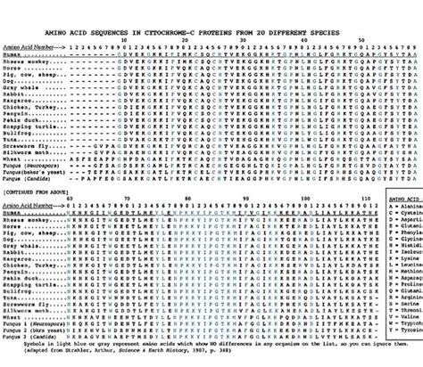 99 ..... AMINO ACID SEQUENCES IN CYTOCHROME-C | Chegg.com