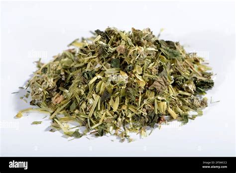 Oat Herb Oat Straw Nettle Alpine Ladys Mantle Avena Sativa