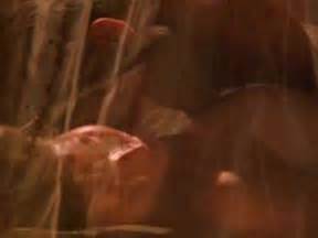 Under Heavy Fire Nude Scenes Aznude