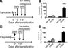 Jci Hyaluronan Digestion Controls Dc Migration From The Skin