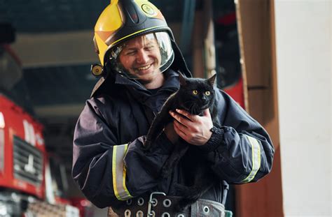 Firefighters Efforts To Save 13 Cats From Burning Building Go Viral