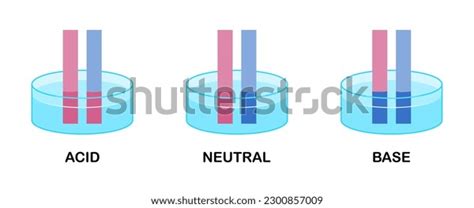 Vector Illustration Litmus Paper Test Results Stock Vector (Royalty ...