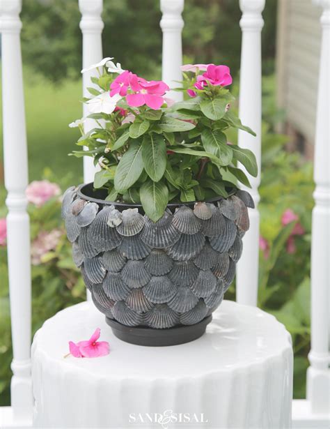 Diy Shell Planter Sand And Sisal