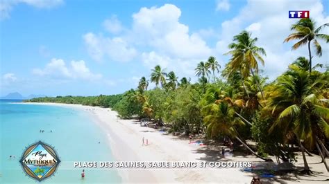 À la découverte de la plage des Salines en Martinique