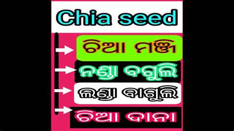 Chia Seeds Meaning In Odia Language Youtube