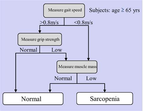 Recommended Algorithm For Diagnosing Sarcopenia From Ewgsop Ref8